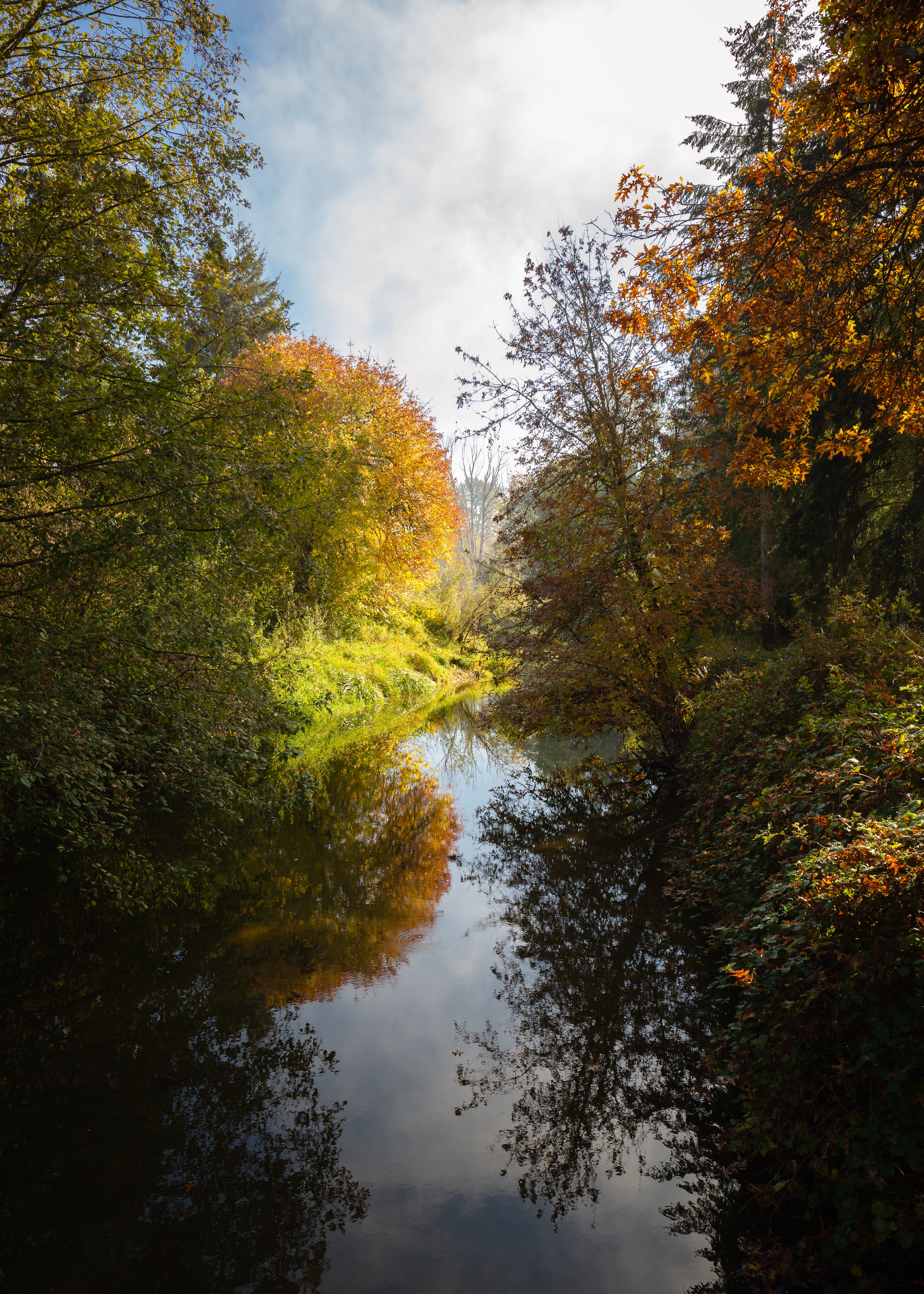 'backgrounds/FallRiver.jpg'