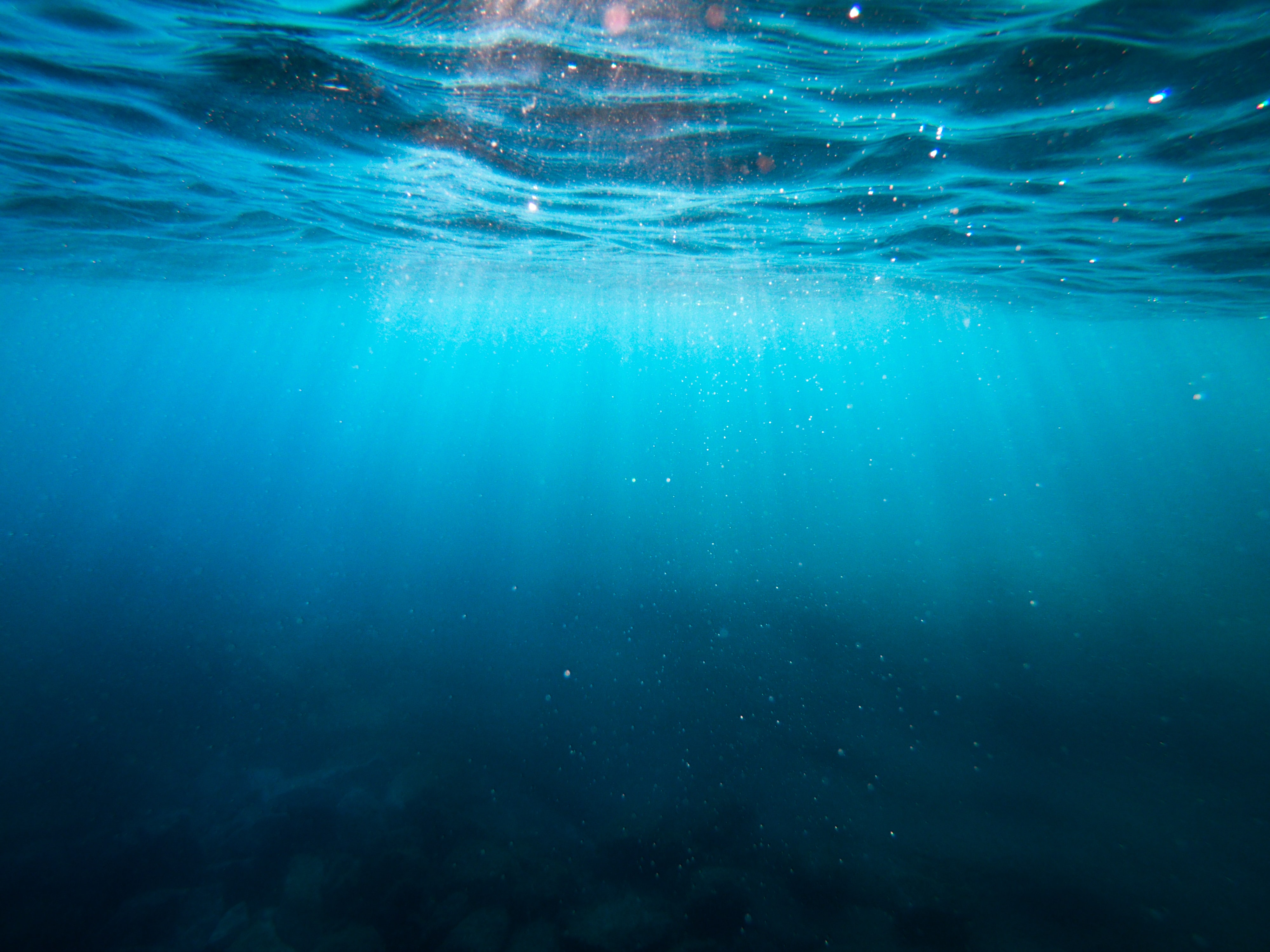 'backgrounds/UnderWater.jpg'